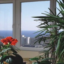 ���������: ��� �� ����