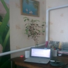 ������� ����� �������