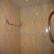 ���� ����� ��������