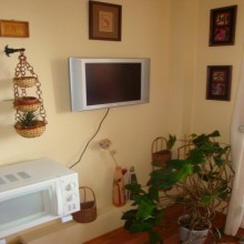 ��� ���� ���������� ������