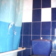 ���������, ������