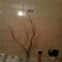 ����� �����