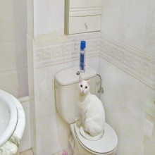 ��� � ����� �����