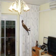 ���������� ������