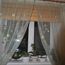 ����� ����