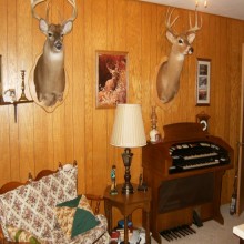 ��� �������� � ��������������� �������