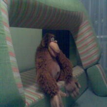 �����������