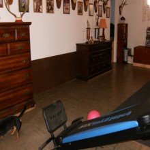 ������� �������