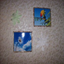 ������������ �������� ������� ���!