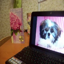 ����� � �������� ������� ����.