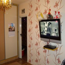 ���� � �������.