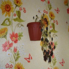 ������ �� ��������� �����.