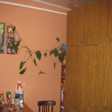 ����� ���