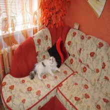 ����� � �����