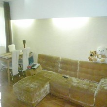 ���� ������� ���������