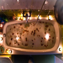 ����������