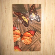 ������ � ��������