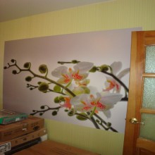 ������� ����� ���������