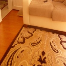 ������ �����