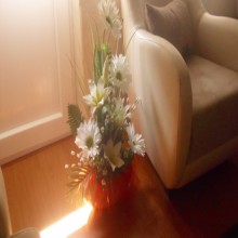 ����������� �������� ���������