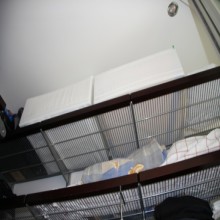 ������� �����