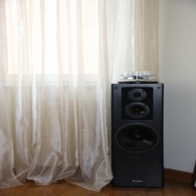 ������ ������� ����