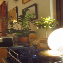 ����� ��� ������