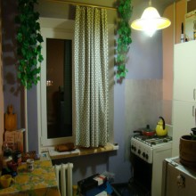 ���� ����� ��