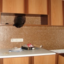 ��������� ��������