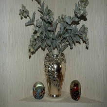 ���� �� ������������