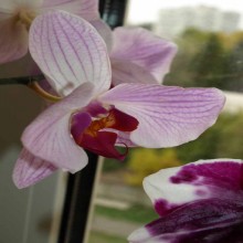 ����� �� ����