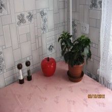 ��������� ����