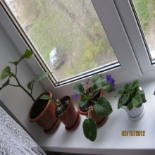 ����������