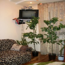 ��������� � ������� �������.