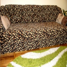 �������� ����