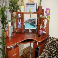 ������� ����