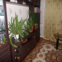 ���� ������������ ���