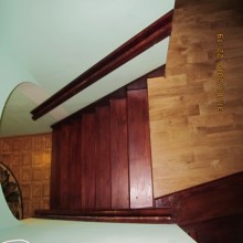 ��� ������