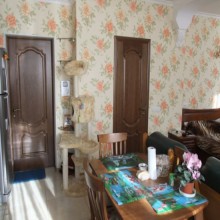 ��� � �������