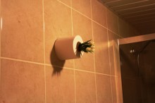 ����������.