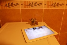 ������ ���������.