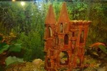 ��������.