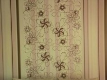 ��������������� ����: ������� + �����