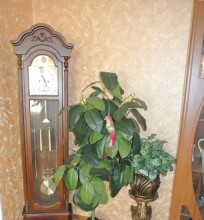 ���� ��������