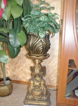 ������ ��� ������ ������ ���������