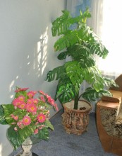 ������ � �����