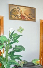 ������ �������