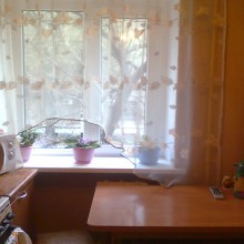 ���� �� ���������� �����