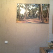 �������