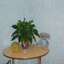 ������� ����������� ������!